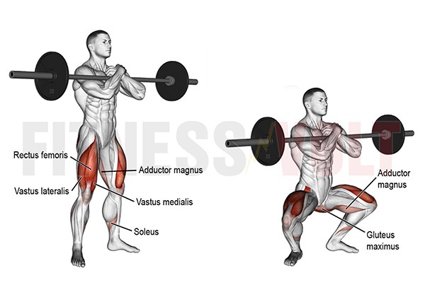 4 Bước squat dành cho nam giới giúp sở hữu vòng 3 tuyệt vời